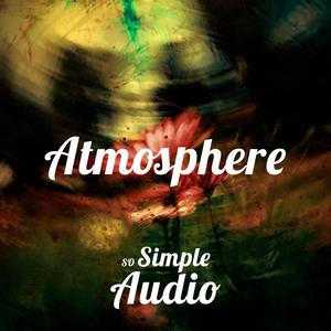 Atmosphere