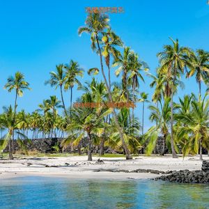 适合办公室工作朦胧的音乐