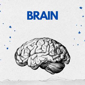 BRAIN