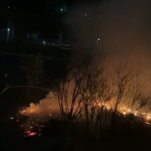 山茶恋（库安同人曲）