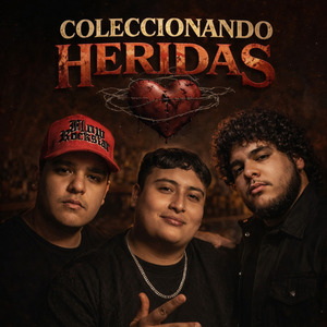 Coleccionando Heridas