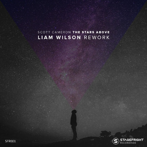 The Stars Above (Liam Wilson Rework)
