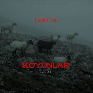 Koyunlar
