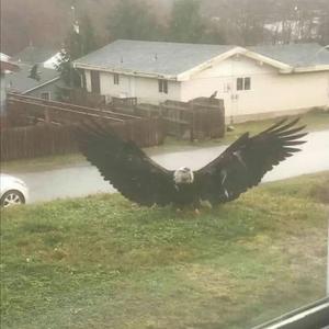 Unguardable (feat. (Feat. Dufflebag shots))