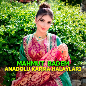 Davul Zurnalı Elazığ Halayı