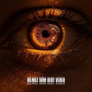 BİLMEZ İDİM DERT VERER