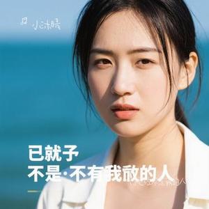 你已经不是我的人 (Cover Yang.lc)