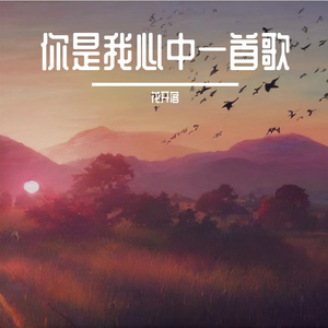 你是我心目中一首歌DJ