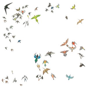 Murmuration