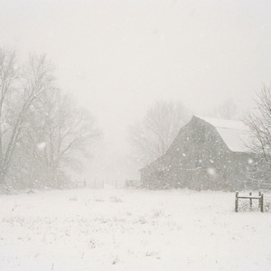 Starry Winter Nights