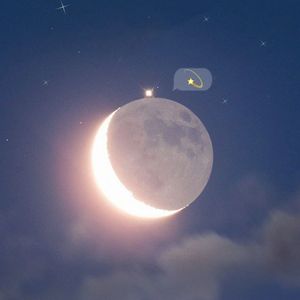 尘埃落满了岁月