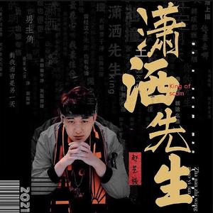 赵艺骏-潇洒先生（MIX)（赵艺骏 remix）