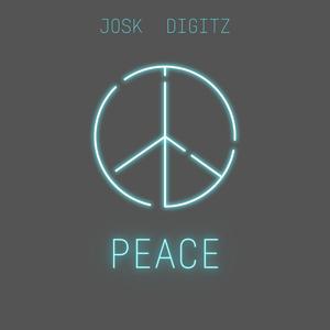 PEACE (feat. Digitz)