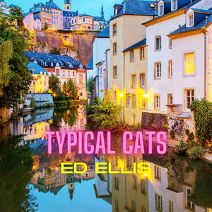 Typical Cats
