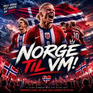 Vi skal til VM
