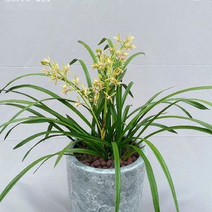 《海浪声中焦虑的舒缓之
