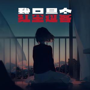 我只是个红尘过客