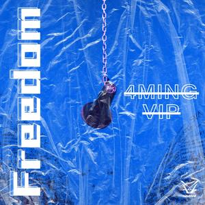 Freedom (4MinG VIP)