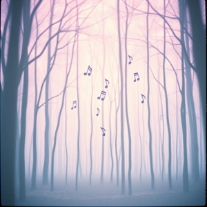 The skies are talking