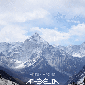 Vindu / Vindu-Vindu - Mashup（Aphexeuia / Vindu remix）