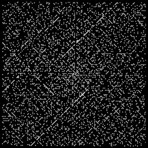 Between Order and Coincidence