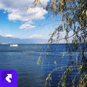 风吹落故事(烟嗓版)