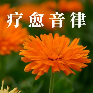 缓解脑疲劳（舒缓纯音乐）