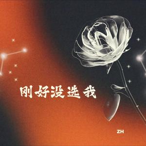 刚好没选我