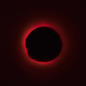 I Sing, Therefore I Am.