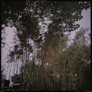 没心没肺的夏天