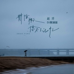 删除聊天删除不了记忆 (DJ默涵版)