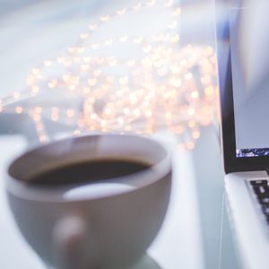 白鸽乌鸦相爱的戏码