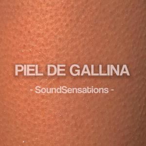 Piel de Gallina