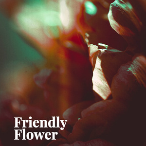 Friendly Flower/神圣孟菲斯 type beat/庄严神圣黑暗氛围