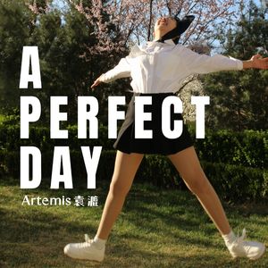 A Perfect Day