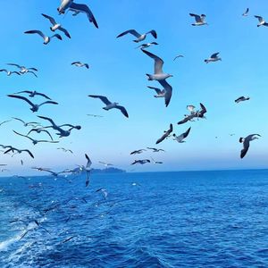 量子纠缠的余温