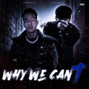 Why We Can't（Ft.ALUVIN）