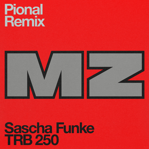MZ (Pional Remix)