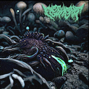 Symbiosis