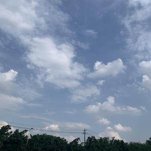 老情歌（宝藏版）