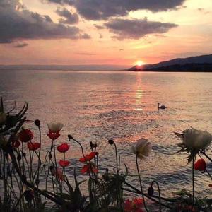 你的故事（Prod by 牙刷）