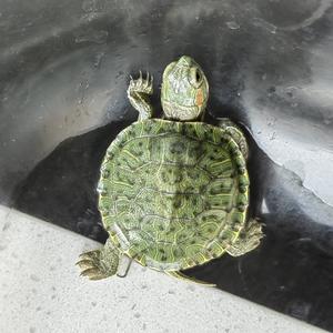 平淡日子里的挣扎与治愈