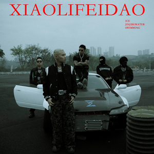 ICE杨长青-小李飞刀