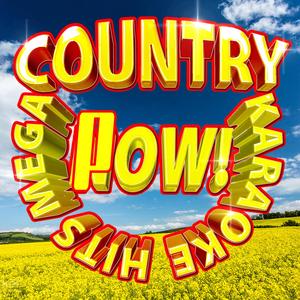 Love Don't Run (Originally Performed by Steve Holy) [Karaoke Version]