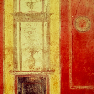 Heather - Wolf Cabin session