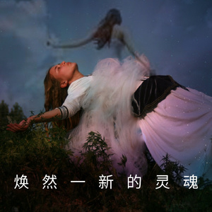 更新的灵魂