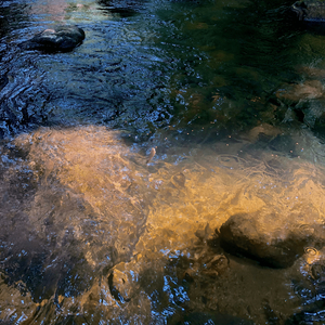 คนหนึ่งที่ซ่อนไว้