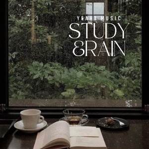 Mưa rơi thư giãn cùng tiếng nhạc piano nhẹ nhàng giúp học tập