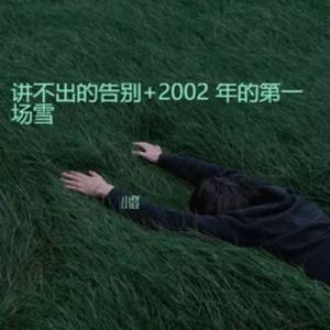 2002年的第一场雪+讲不出的告别(DJ版)