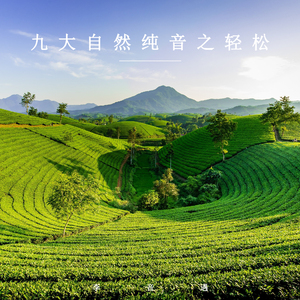 空山雨后 (纯音乐)